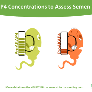 Semen Analysis Kit Bull 4MID® Kit (proAKAP4)