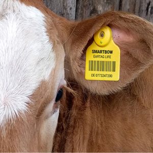 Tags & Scanners